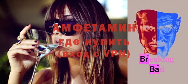 сатива Верея