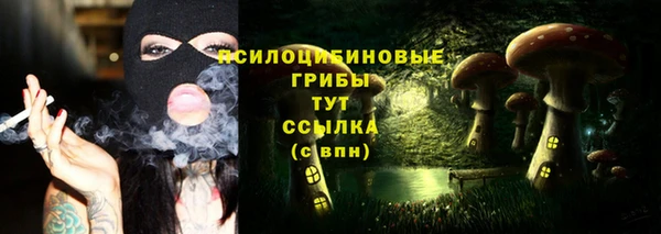 синтетический гашиш Шадринск