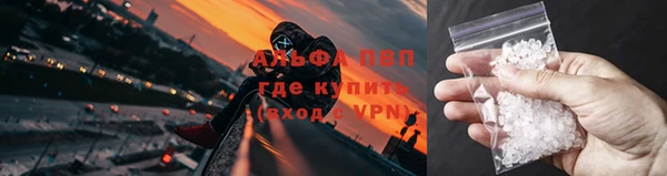 сатива Верея