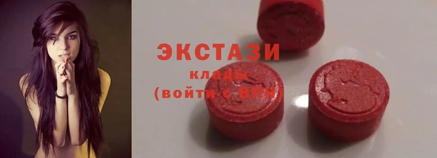 сатива Верея