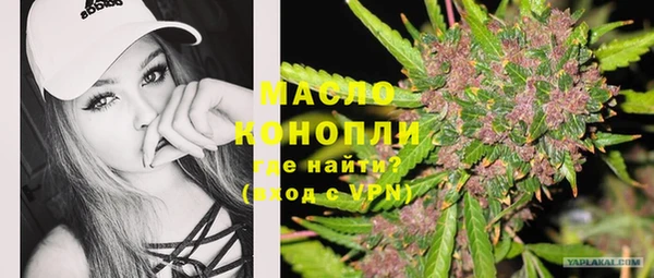 сатива Верея
