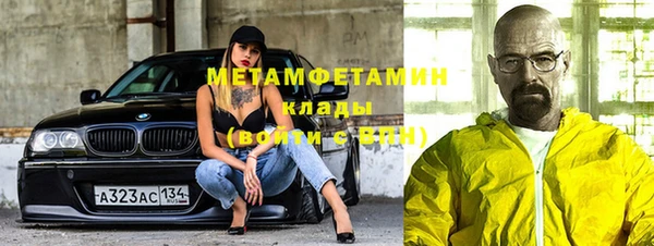сатива Верея