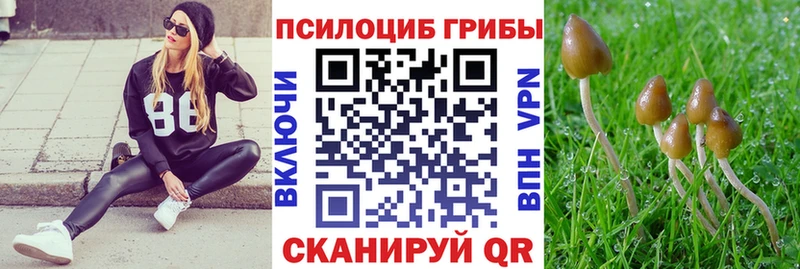 Псилоцибиновые грибы прущие грибы  купить наркотики цена  Луховицы 