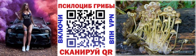 Псилоцибиновые грибы Psilocybe Луховицы